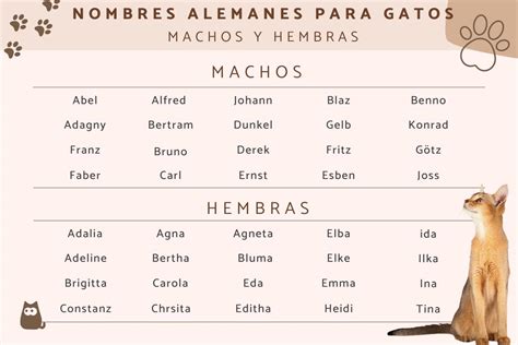 alemanes hombres|Nombres alemanes: Descubre la belleza y el significado detrás。